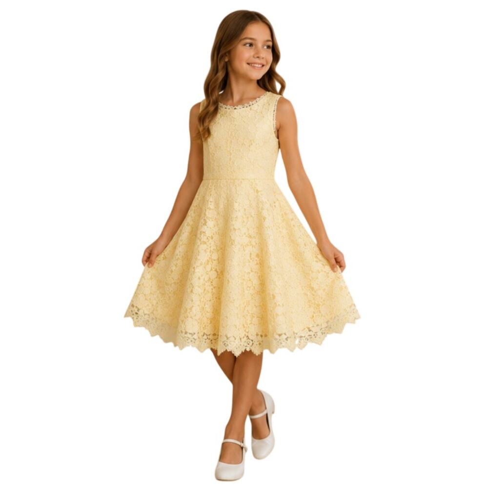 Rare Editions Girls Yellow Floral Lace Dress  Party Flower Girl  Size 6